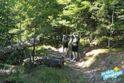 Micro aventure : en famille ! - Bonjour Alsace