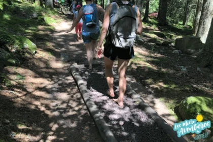 Micro aventure : en famille ! - Bonjour Alsace