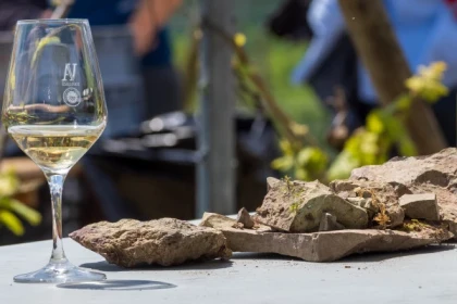 ORSCHWIHR #1 - Atelier - Verticale du Grand Cru Pfingstberg - Gewurztraminer - Bonjour Alsace