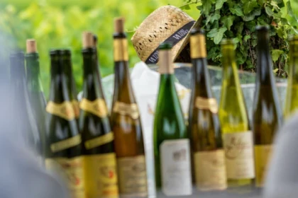 ORSCHWIHR #1 - Atelier - Verticale du Grand Cru Pfingstberg - Riesling - Bonjour Alsace