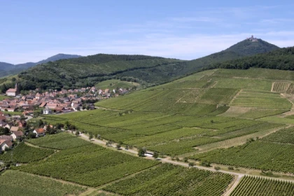 ORSCHWILLER #13 - Bonjour Alsace
