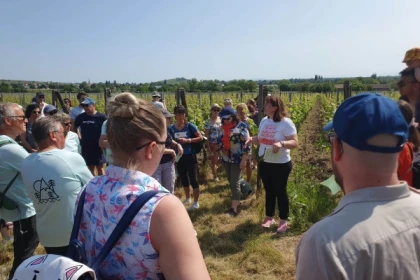 Osez le vin au féminin & Pique-nique au domaine (en anglais) - Bonjour Alsace