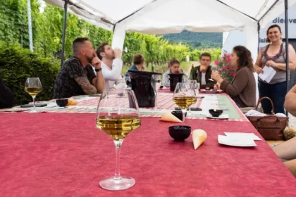Osez le vin au féminin - Pique-Nique VIP - Bonjour Alsace