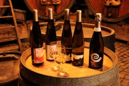 Parenthèse Vigneronne 'la biodynamie pour les nuls' - dégustation - Bonjour Alsace