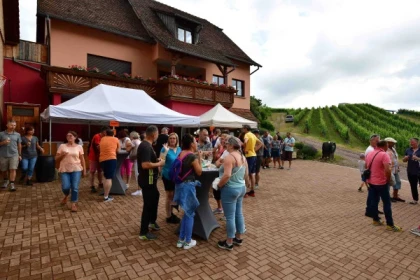 Pique-nique chez le vigneron - Bonjour Alsace