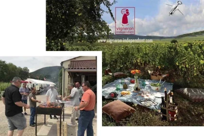 Pique-Nique chez le Vigneron Indépendant - 27ème édition - Bonjour Alsace