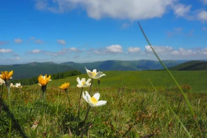 Randonnée à la découverte du Lauchenkopf - Bonjour Alsace
