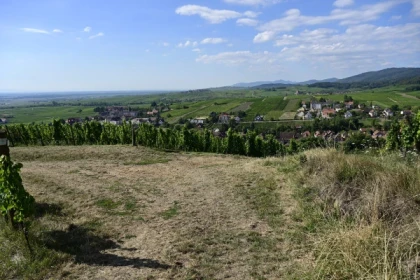 RIBEAUVILLÉ #8 - Bonjour Alsace