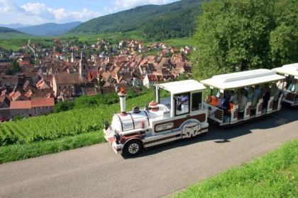 RIBEAUVILLE #8 - Atelier - Découverte motorisée des terroirs du ban de Ribeauvillé - Bonjour Alsace