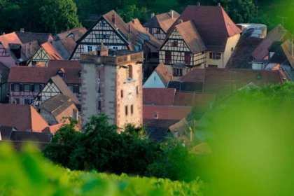 RIBEAUVILLE #8 - Atelier Tournée des Terroirs - Vins et histoire à Ribeauvillé - Bonjour Alsace