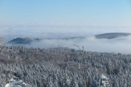 Rocher du Neuntelstein en raquettes à neige - Bonjour Alsace