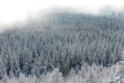 Rocher du Neuntelstein en raquettes à neige - Bonjour Alsace