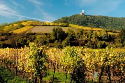 SCHERWILLER #1 - Bonjour Alsace