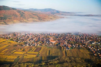 SCHERWILLER #1 - Bonjour Alsace