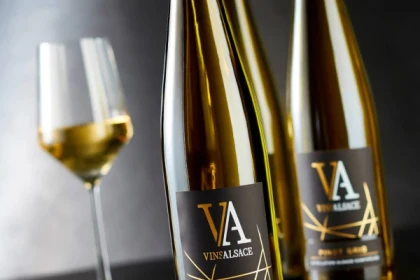 SCHERWILLER#1 - Atelier Tournée des Terroirs - Qu'est-ce que la minéralité des vins AOP? - Bonjour Alsace
