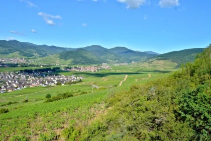 SIGOLSHEIM #6 - Bonjour Alsace