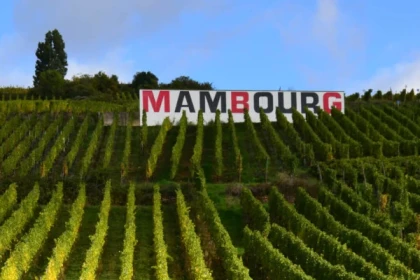 SIGOLSHEIM #6 - Atelier - Présentation des AOP Alsace Grands Crus Mambourg et Marckrain - Bonjour Alsace