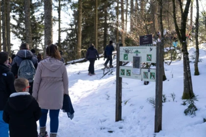 Sortie raquettes en famille - Bonjour Alsace