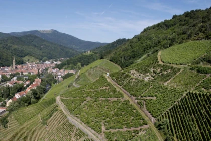 THANN #12 - Bonjour Alsace