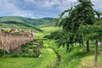 Visite de terroir - Le Grand Cru Schlossberg - Bonjour Alsace