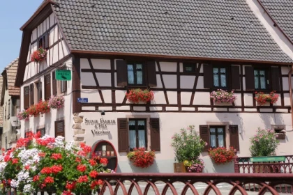 Visite + dégustation à l'aveugle - Bonjour Alsace