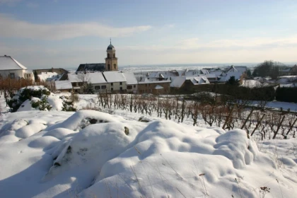 Visite "Gourmande" (français) - Bonjour Alsace