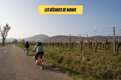 WETTOLSHEIM #6 - Atelier - Sur les chemins du Grand Cru Steingrubler en solex - Bonjour Alsace