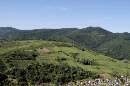 WINTZENHEIM #2 - Bonjour Alsace