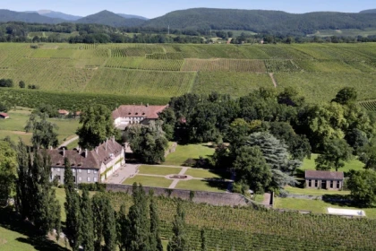 WUENHEIM #9 - Atelier Tournée des Terroirs - Animaux, plantes et vignes du Spiegel - Bonjour Alsace
