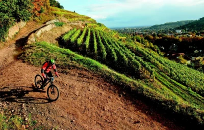 VTT