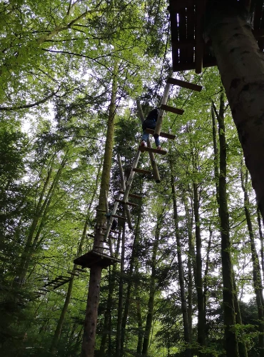Parc arbre aventure