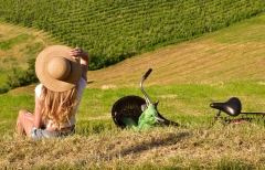Balade dans les vignes - Bonjour Alsace