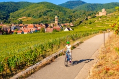 Location de vélo - Bonjour Alsace