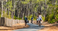 Activité plein air - Bonjour Alsace