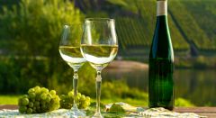 Dégustation de vins - Bonjour Alsace