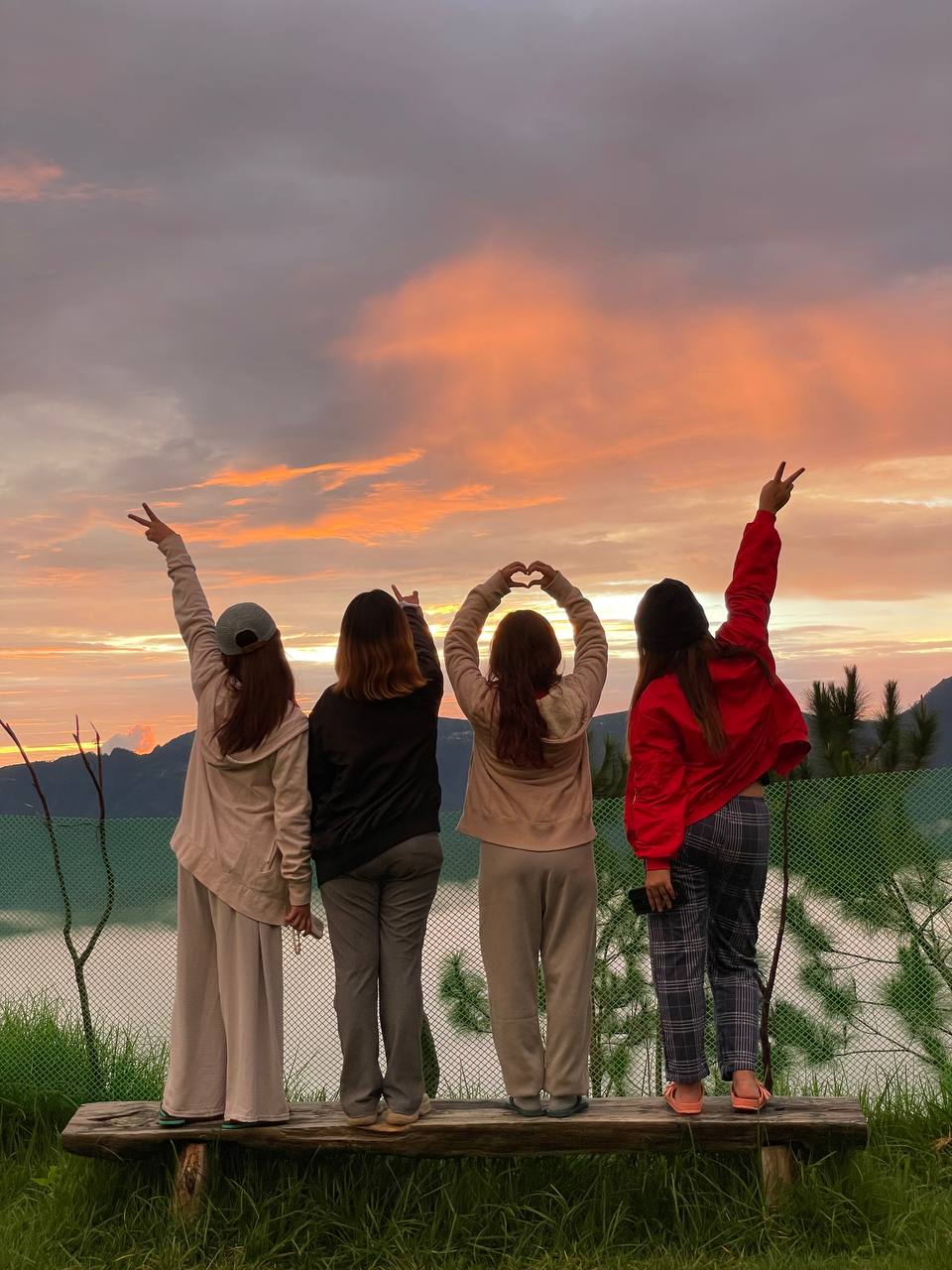 Adultes (12 ans et +)