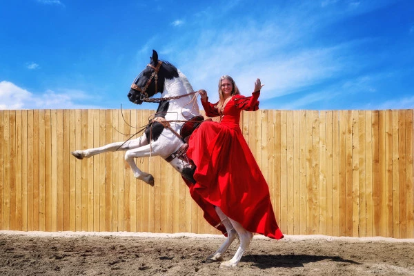 10.000 ans l‘homme et le cheval - Bonjour Alsace