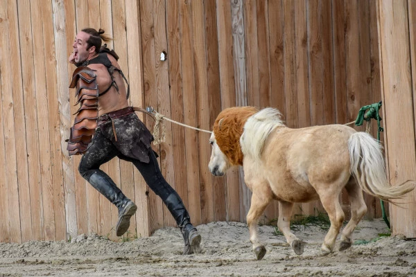 10.000 ans l‘homme et le cheval - Bonjour Alsace