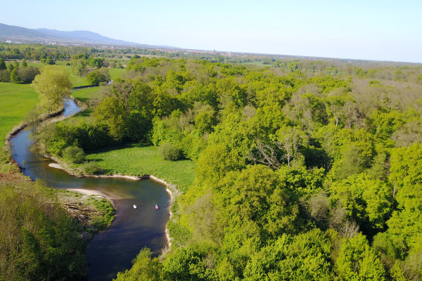 Bonjour Alsace | 1/2 journée Stand Up Paddle 10 km 2h30
