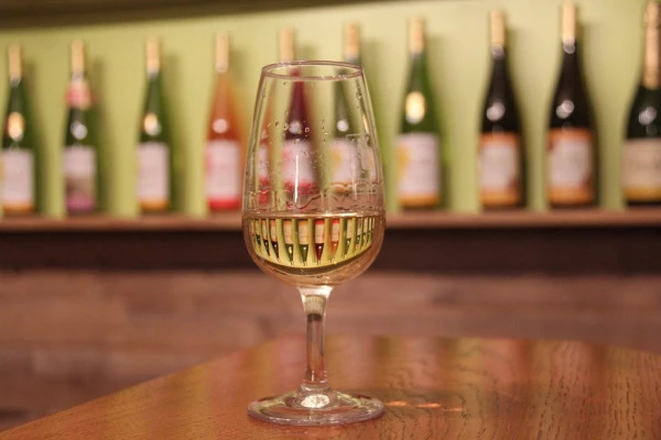 Bonjour Alsace | A la découverte du métier de vigneron