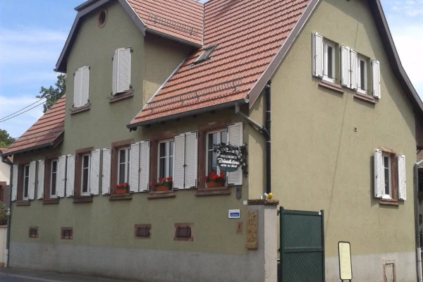 Bonjour Alsace | A la découverte du métier de vigneron