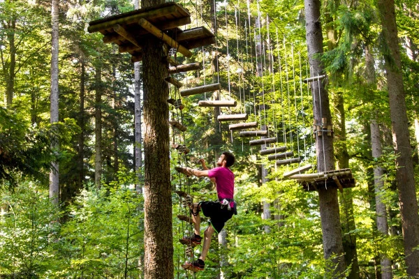 Accrobranche et tyroliennes - Parc Alsace Aventure - Bonjour Alsace