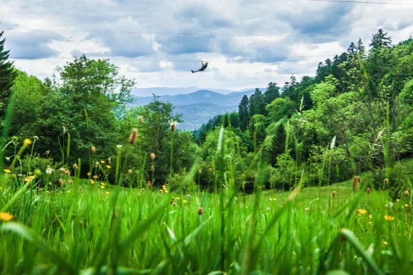 Accrobranche et tyroliennes - Parc Alsace Aventure - Bonjour Alsace
