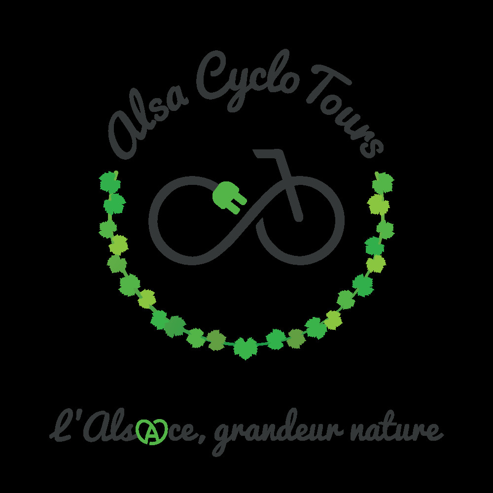 Alsa Cyclo Tours Strasbourg - Bonjour Alsace