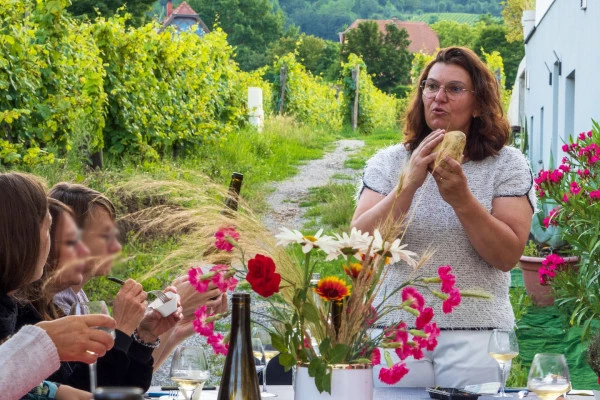 Apéro Gourmand chez le Vigneron Indépendant - Vins de Terroirs et Vieilles Vignes - Bonjour Alsace