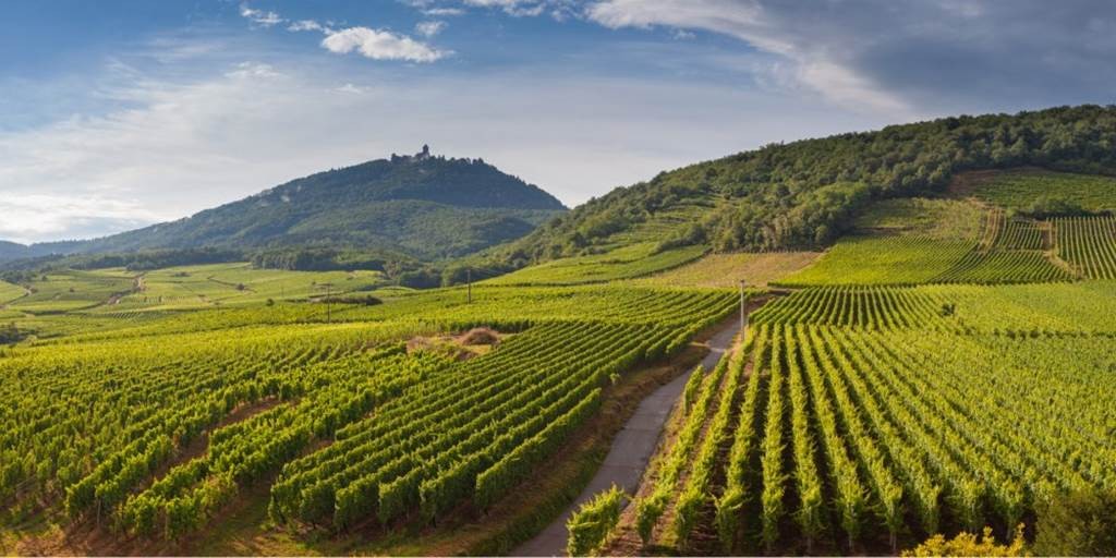 Apéro gourmand du 04 juillet - Que notre Alsace est belle! - Bonjour Alsace