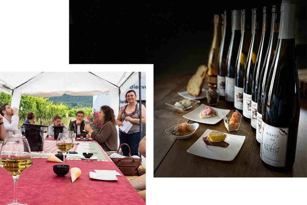 Bonjour Alsace | Apéro Gourmand chez le Vigneron Indépendant - Vins de Terroirs et Vieilles Vignes
