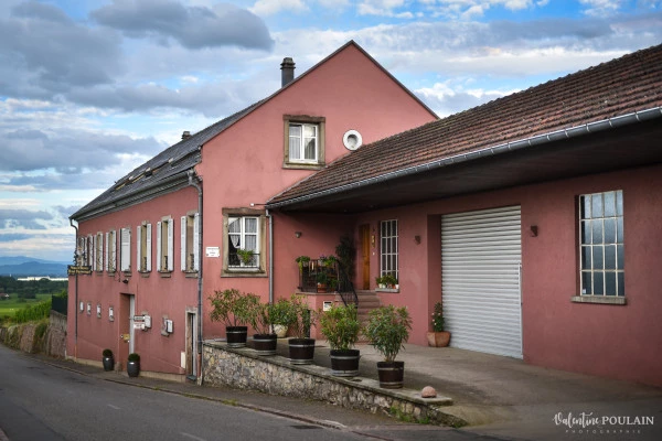 Bonjour Alsace | Apéro Gourmand: La Dolce Vita s'installe à Katzenthal