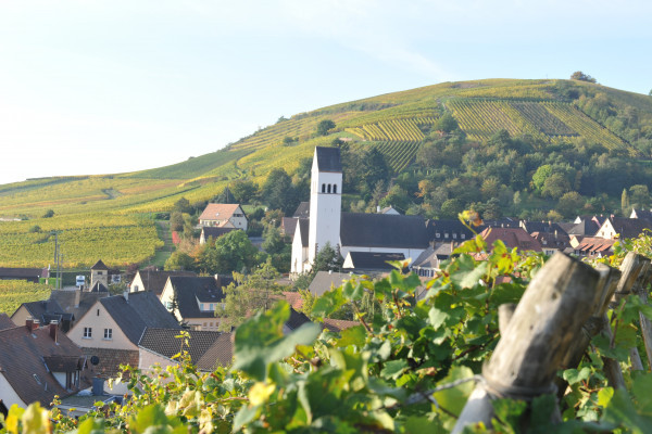 Bonjour Alsace | Apéro Planchette Alsacien et les secrets du vigneron !