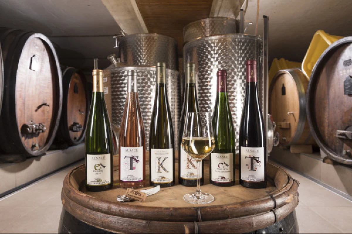 Atelier 3 Vins d'Alsace et 3 Chocolats  - Bonjour Alsace